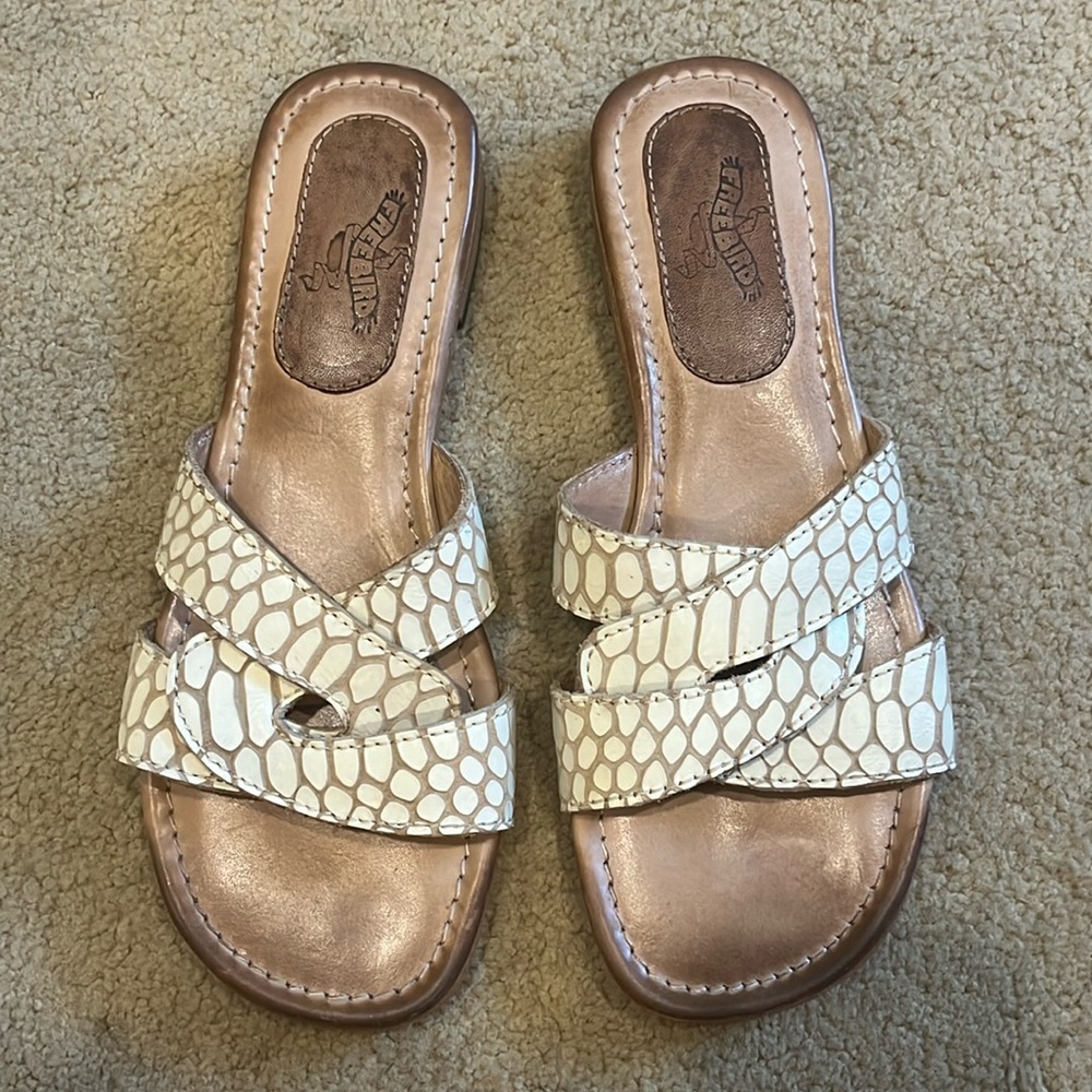Freebird Sawyer White Snake 7